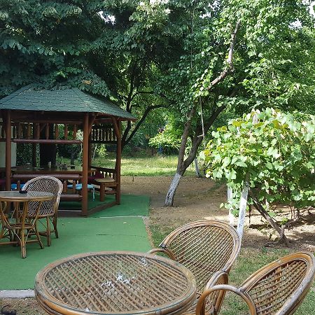 Casa Boiereasca Hostel Craiova Bagian luar foto