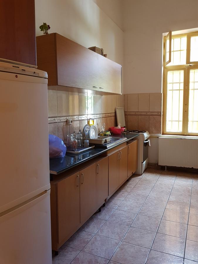 Casa Boiereasca Hostel Craiova Bagian luar foto